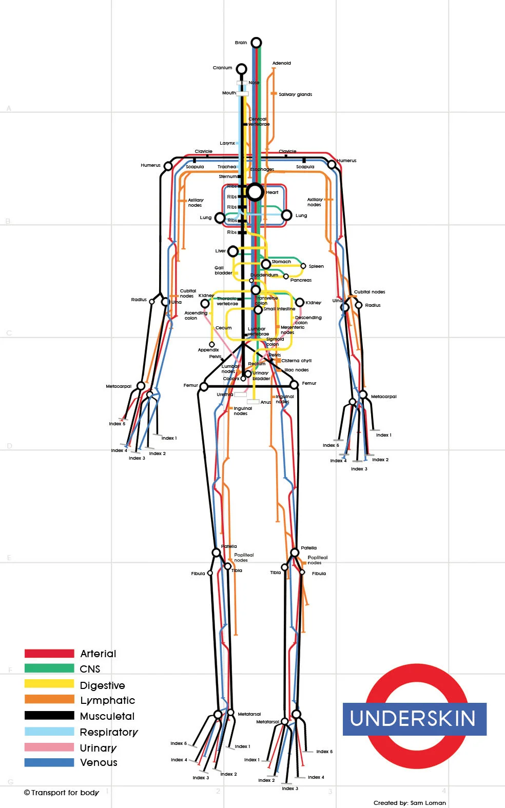Underskin: The Human Subway Map