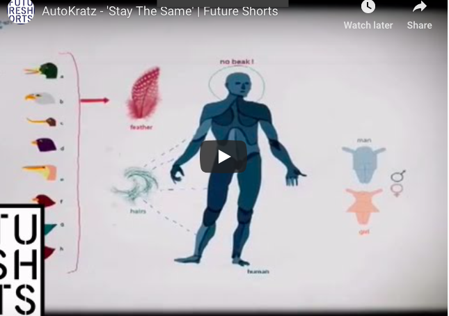 Stay the Same (Infographic Music Video)
