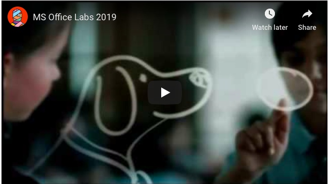 Microsoft's Vision 2019