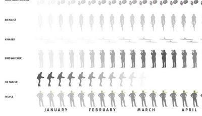 Seasonal Visual Timelines