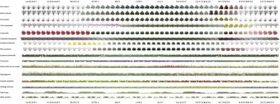 HSQ_EXHIBIT_10_SEASONAL_planting_lr.jpg