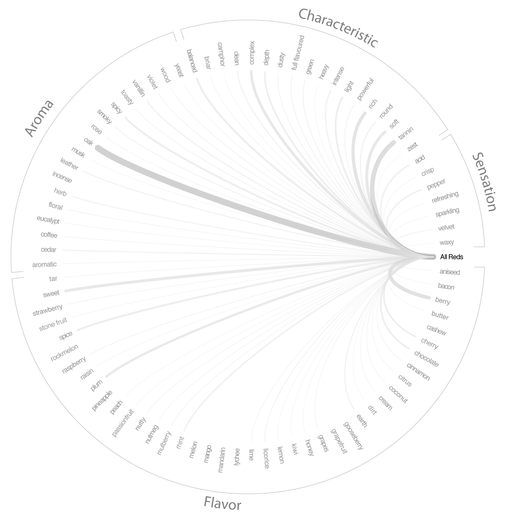 Wine Flavor Visualization