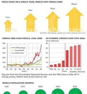 BBC World Food Prices