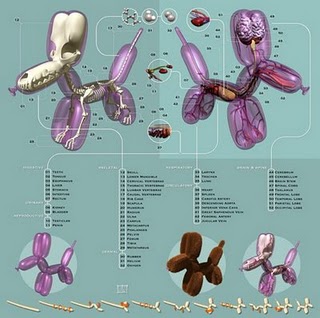 Anatomy of a Balloon Animal infographic