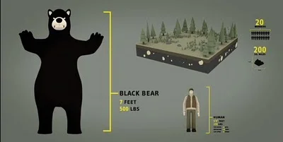 Sprint Ad infographic video