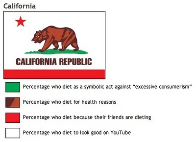 Know your State Flag Infographics