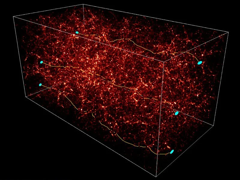 Dark Matter distorts light