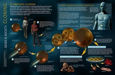 Clarifying Cloning infographic