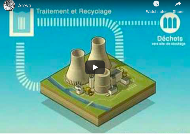 Infographic Video Advertisement