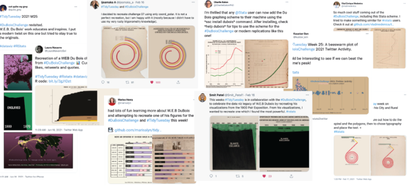 The #DuBois Challenge, Nightingale