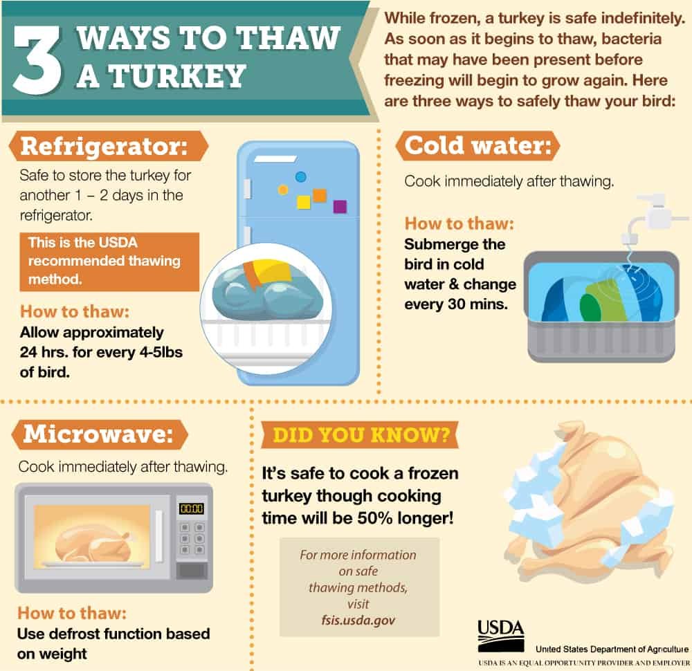 How to Safety Thaw a Turkey — Cool Infographics