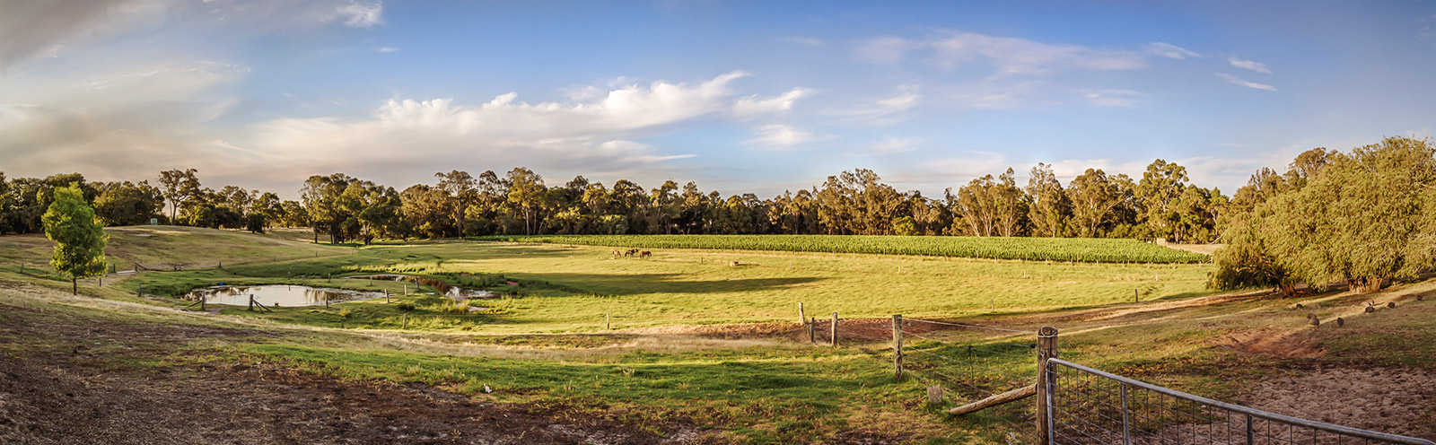 pano.jpg