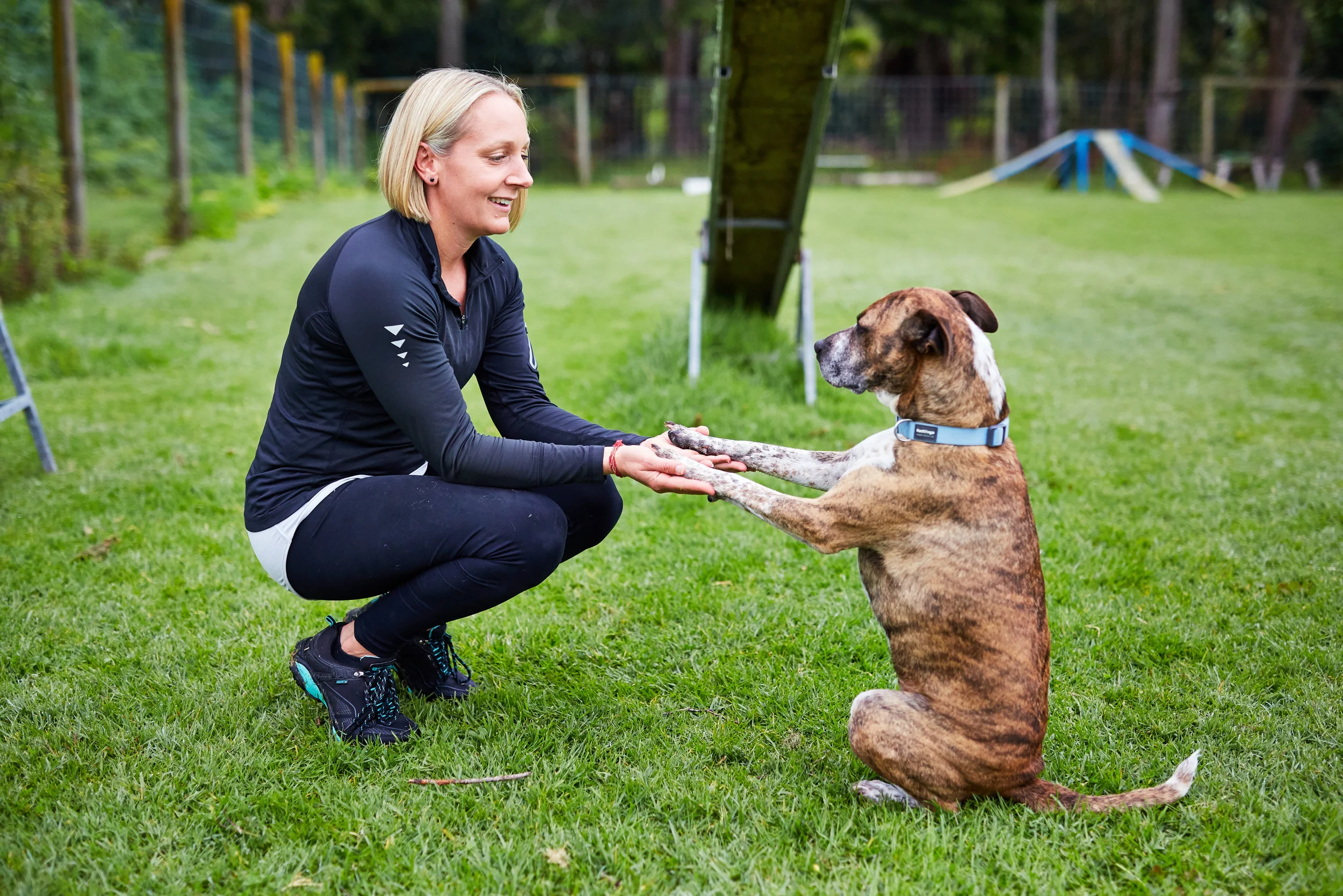 Dog training holding hands