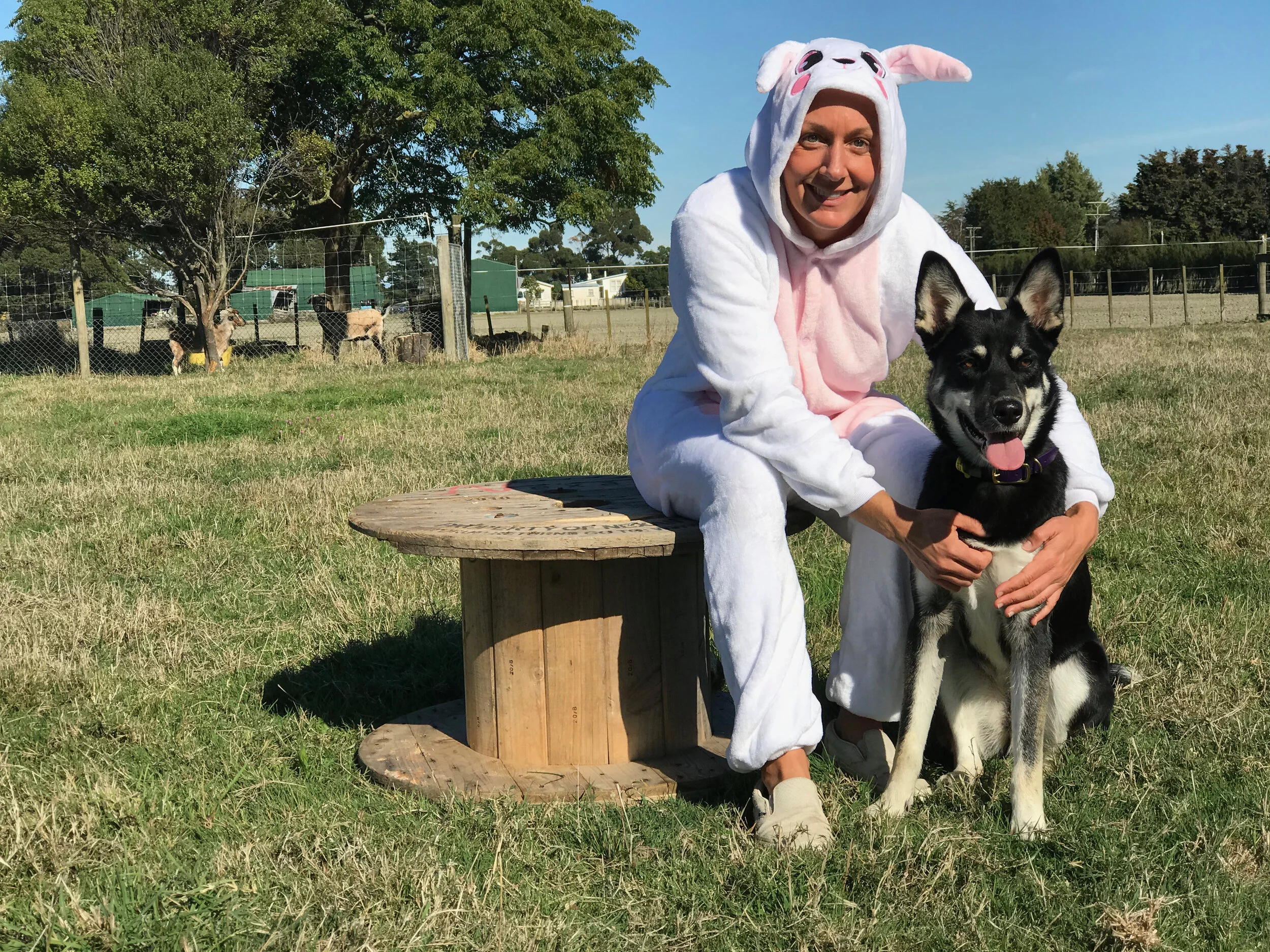 Easter Egg Hunt For My Dog