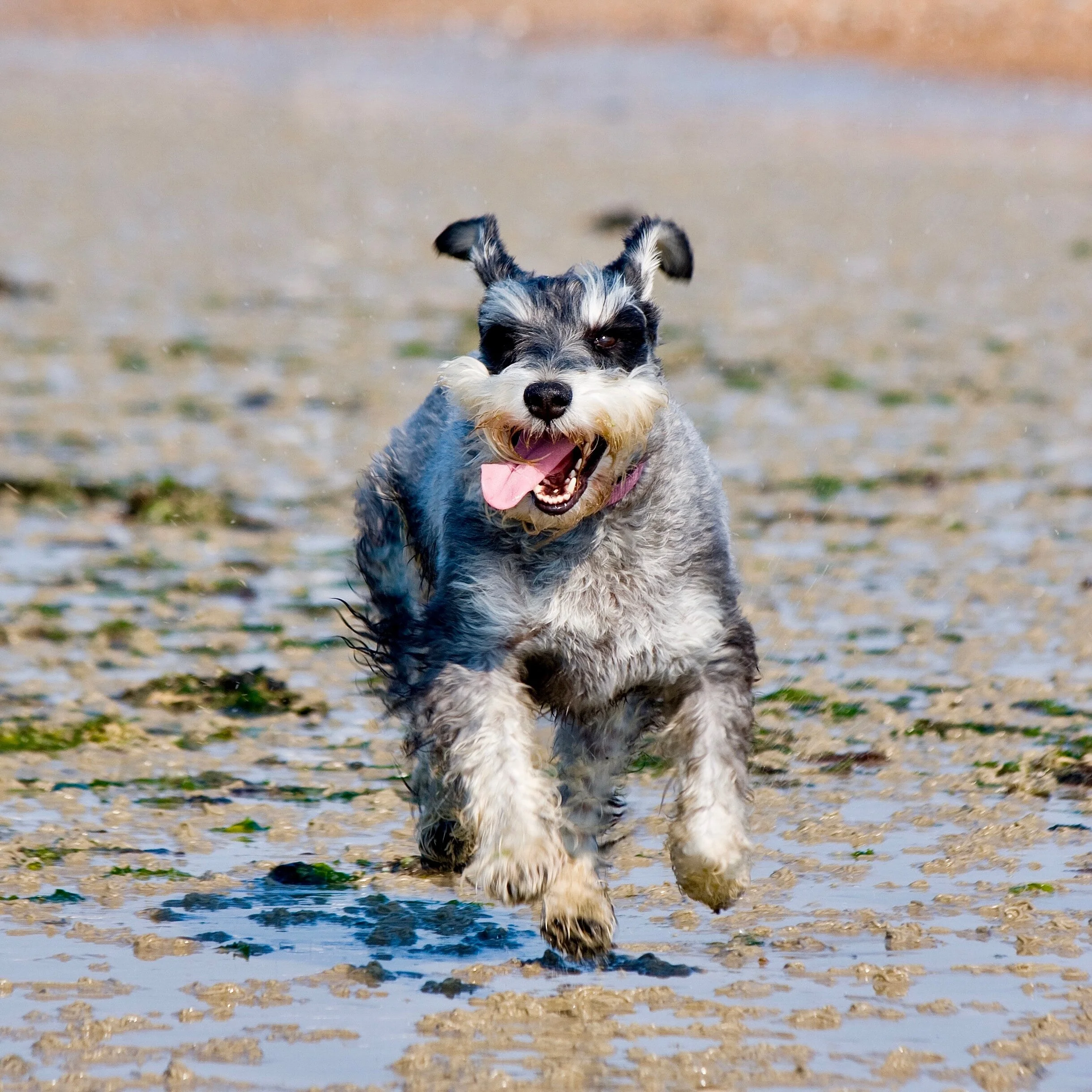 Extra Training (Existing Clients Only)