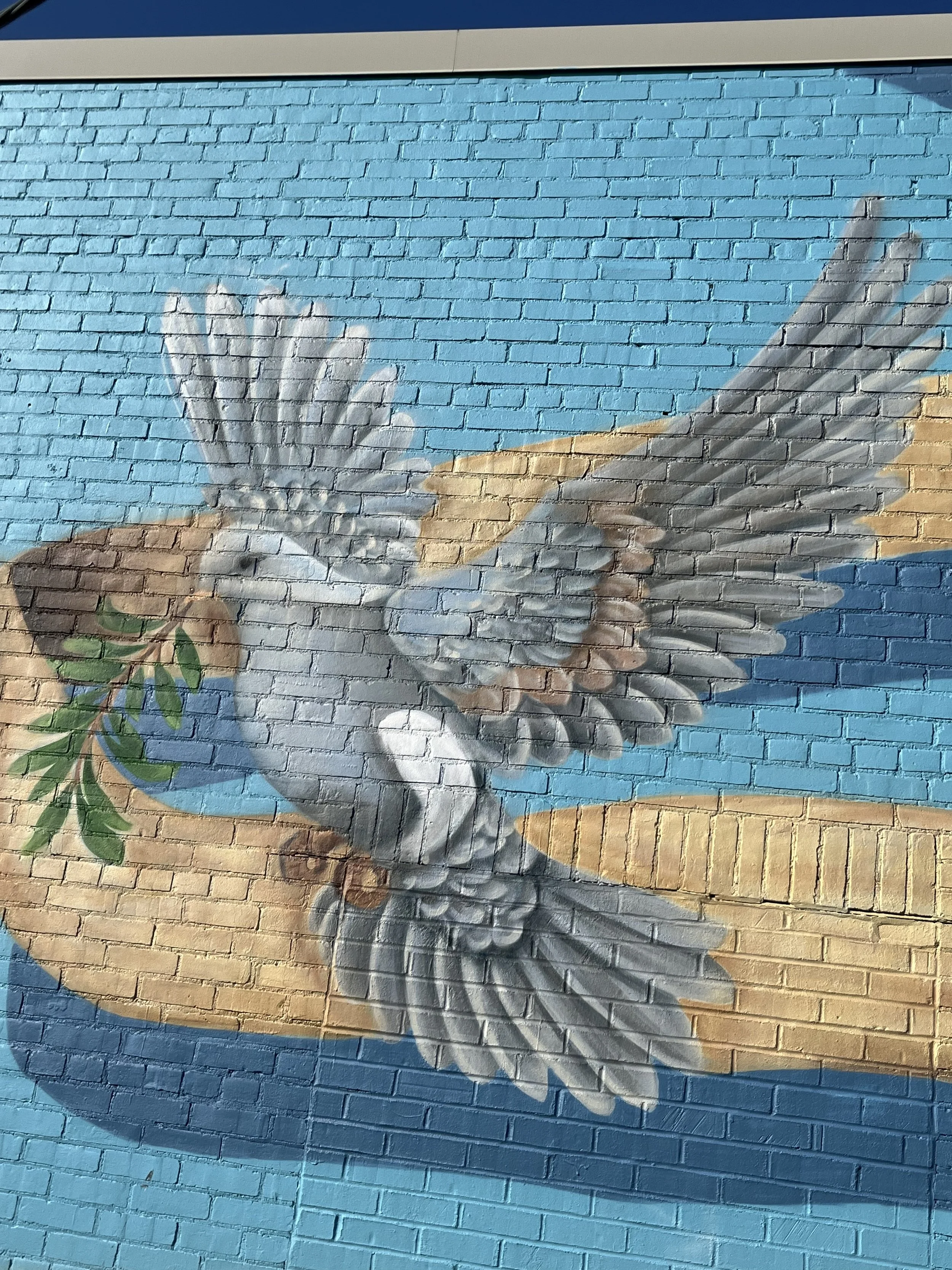 Photo Dec 18 2025, 12 47 03 PM.jpg