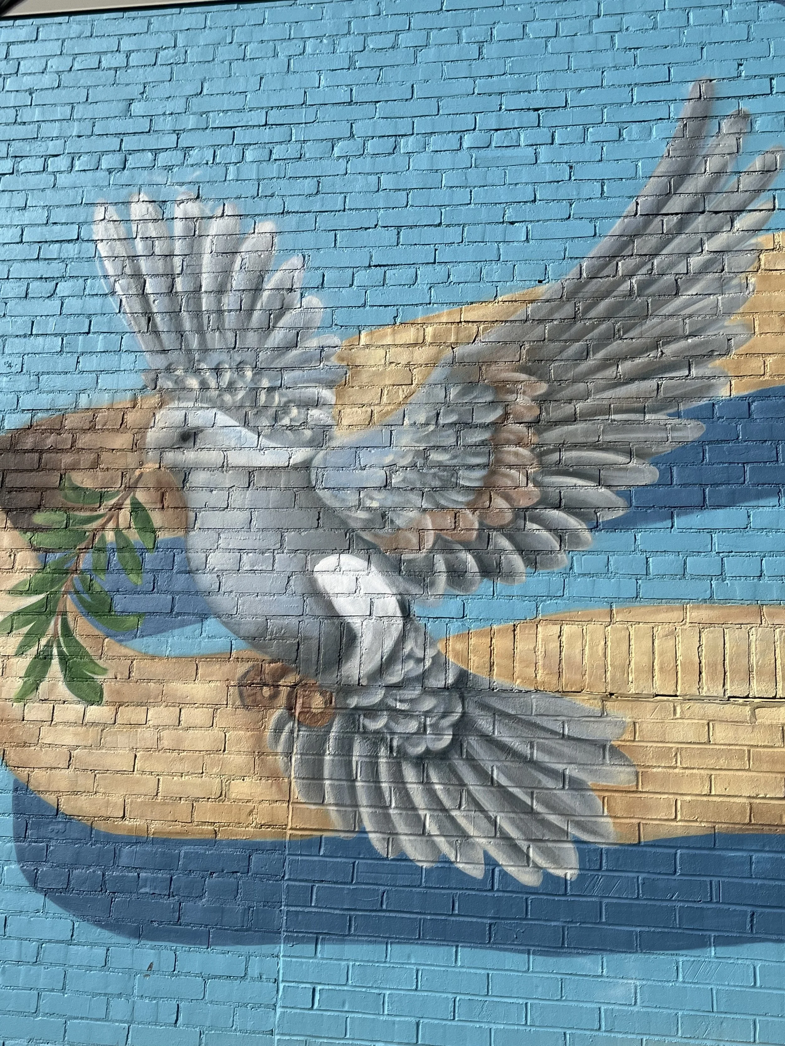 Photo Dec 18 2025, 12 46 52 PM.jpg