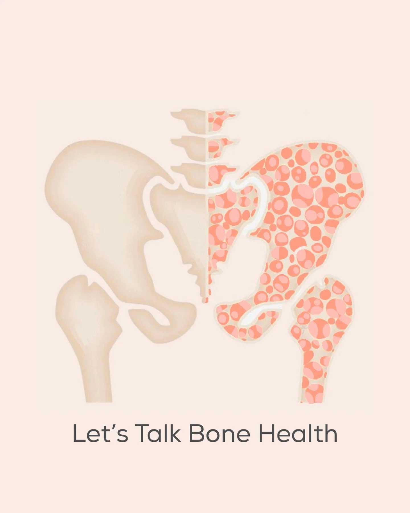 💜 World Menopause Day
From our 30s, our bones naturally start to renew a little less with each cycle. Over time this leads to gradual bone loss. When menopause arrives, the drop in oestrogen speeds this process up, which is why many women start to