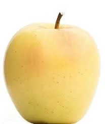 Golden Supreme.jpeg