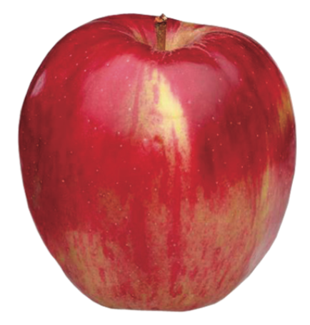 school house red.png