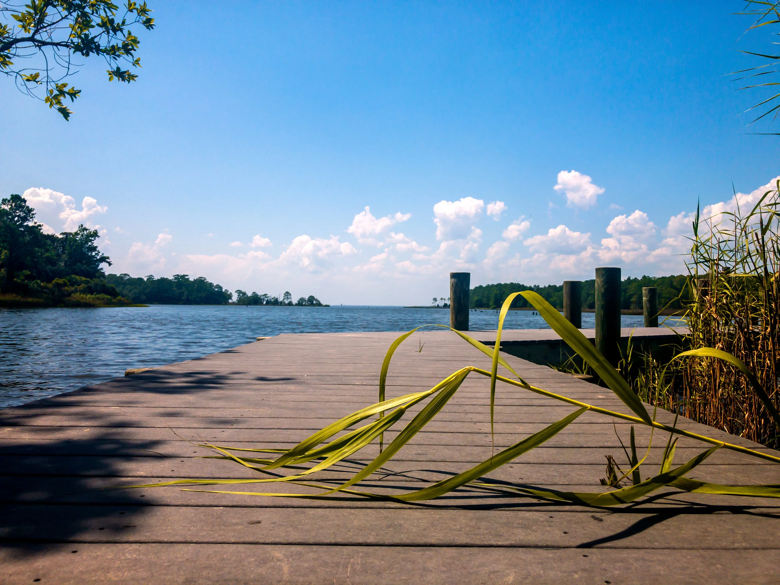 boardwalk green jpg.jpg