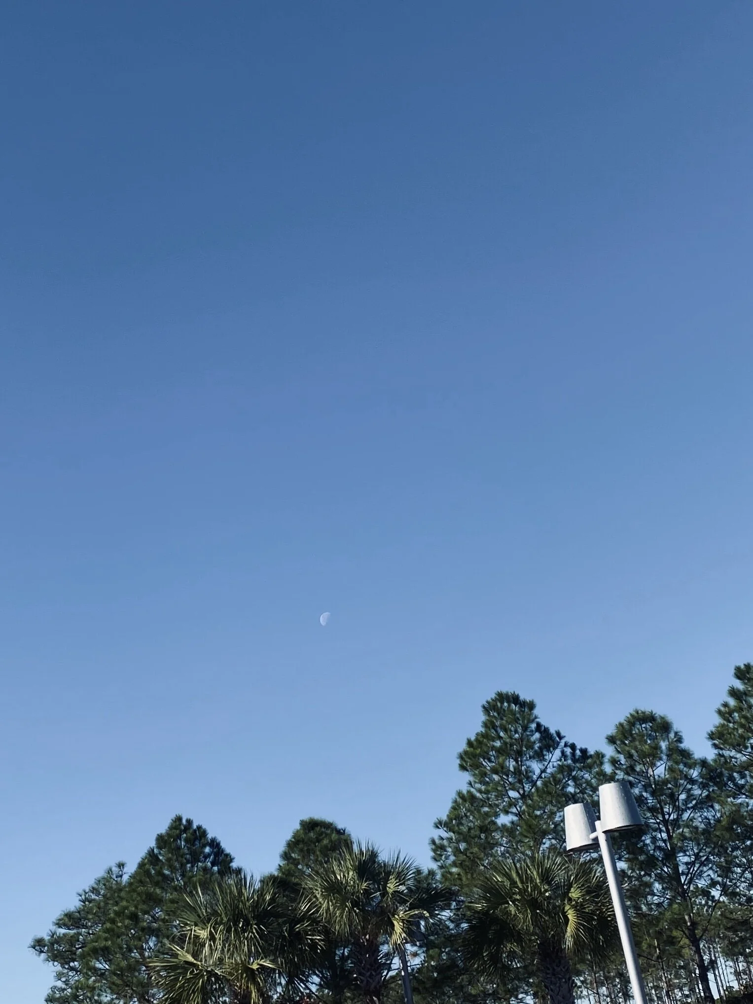 moon in the daytime. iPhone 11 Pro. taken quickly, should have composed it way better.