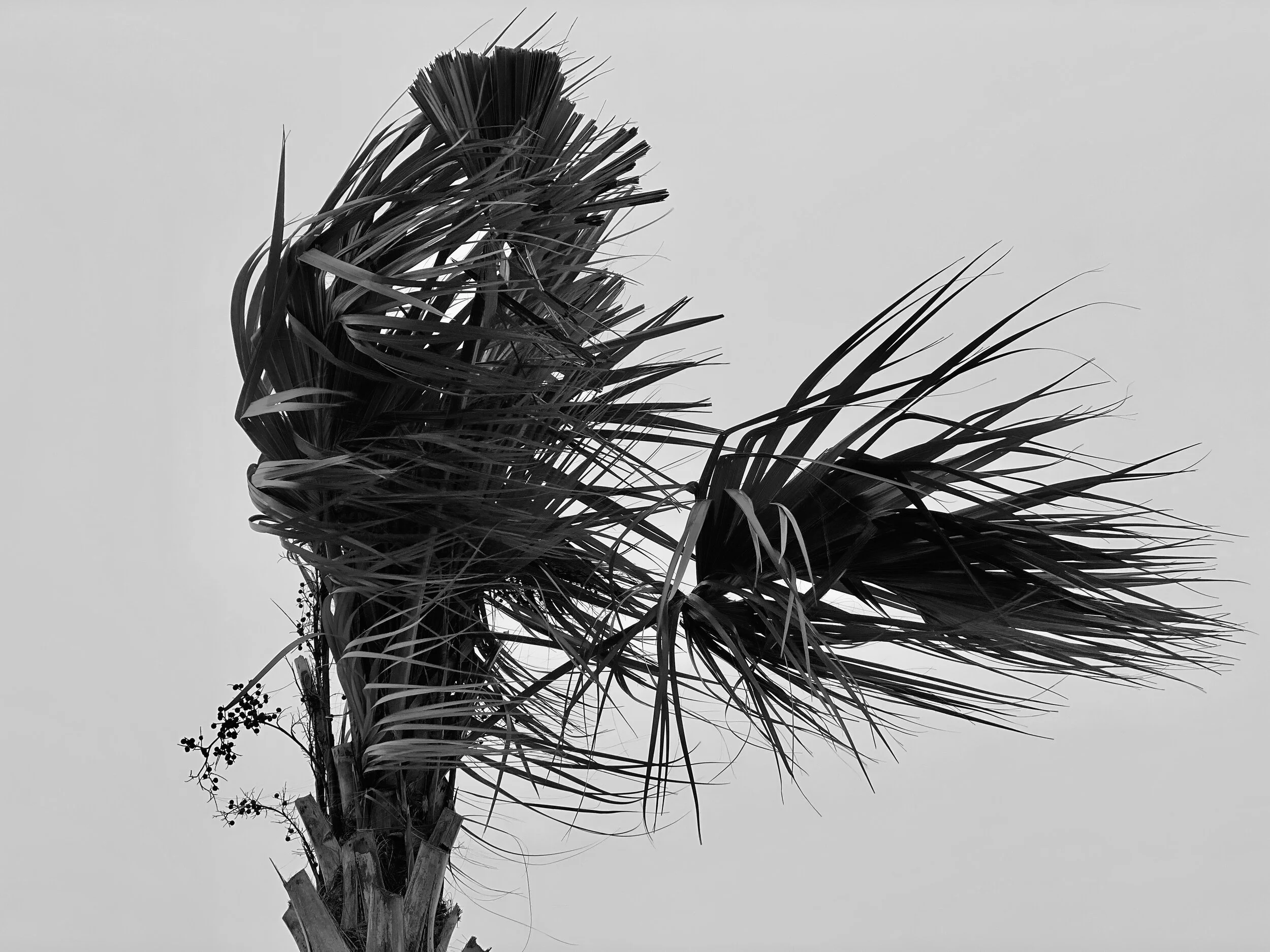 02.15.2021 12.41.53.jpg