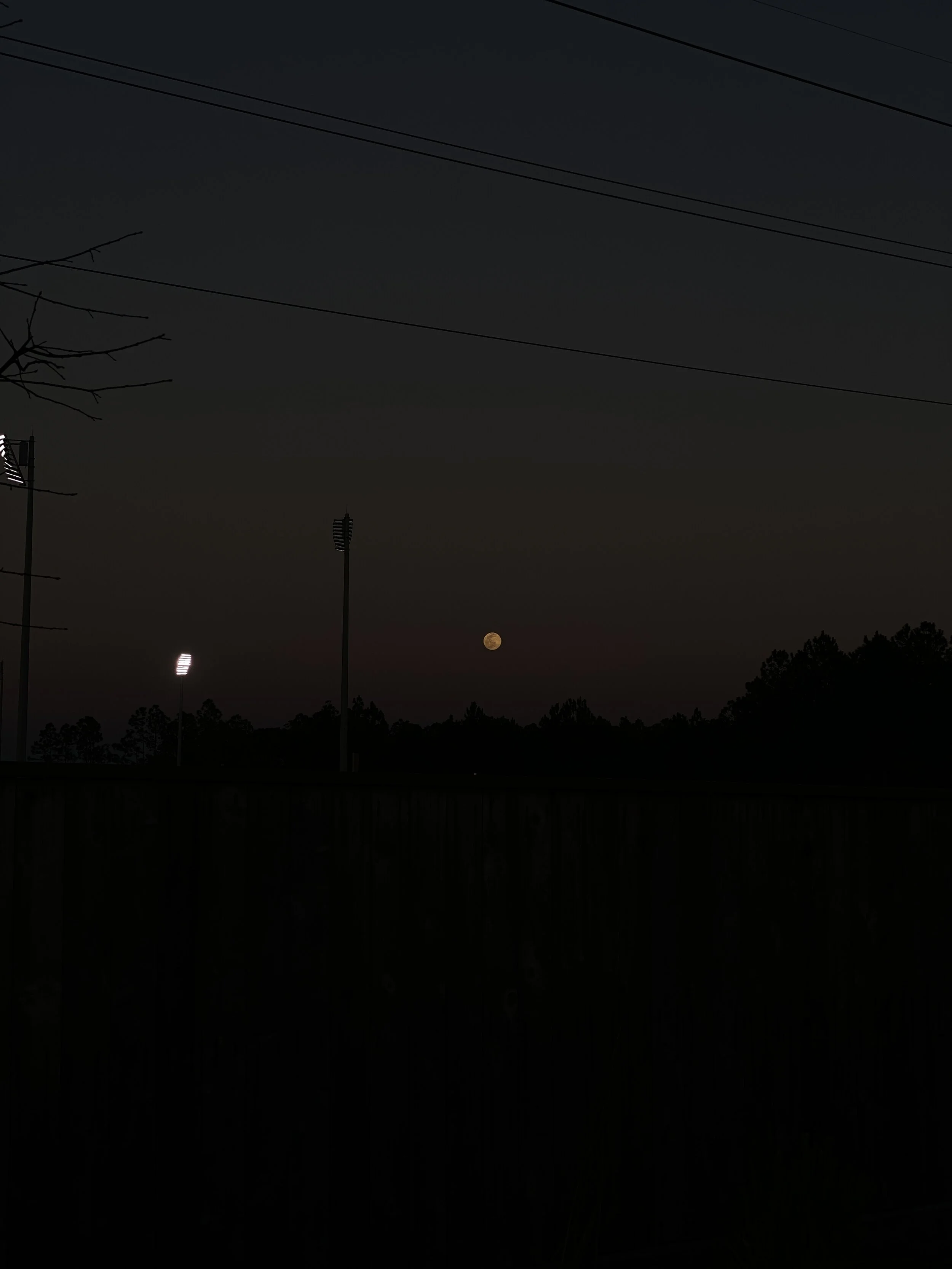 02.26.2021 17.42.31.JPG