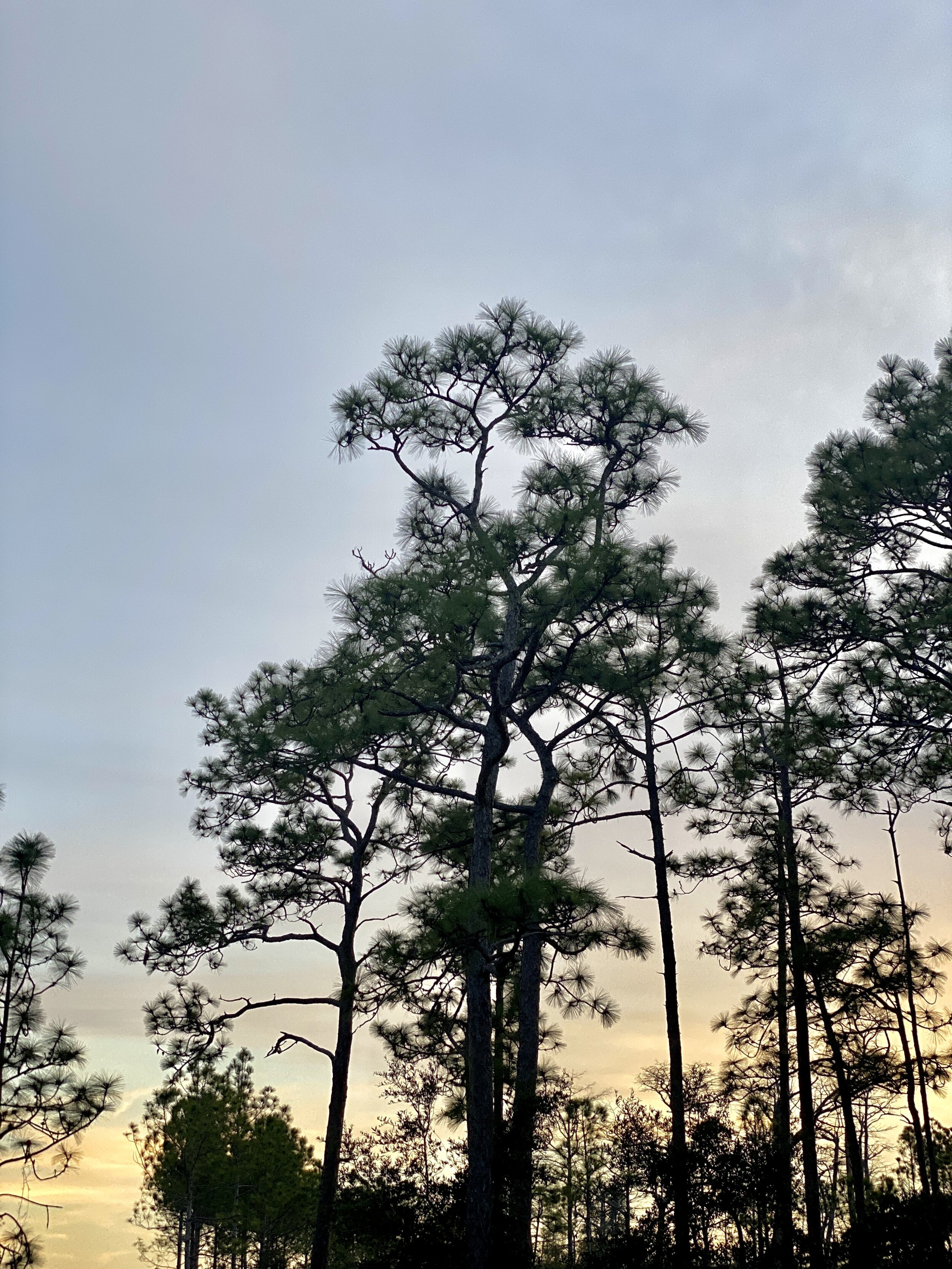 03.13.2021 17.48.50_2.jpg