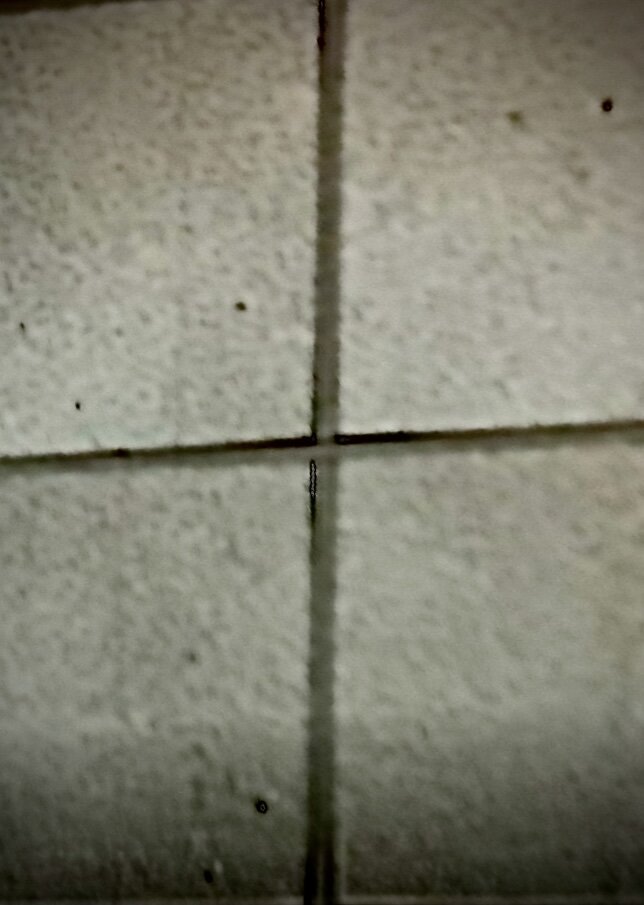 04.02.2021 11.24.15.jpg