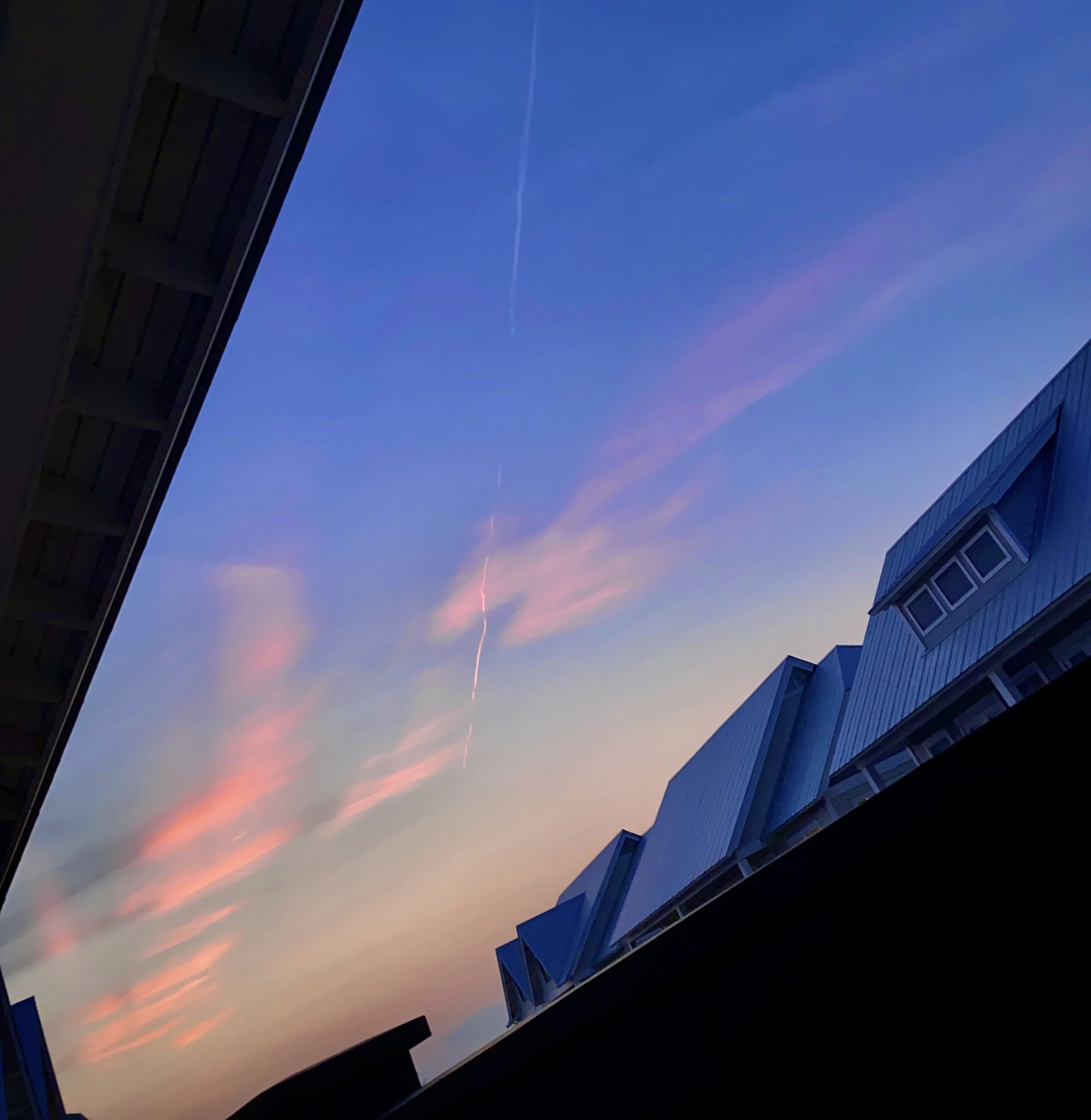 07.25.2021 19.54.29.jpg