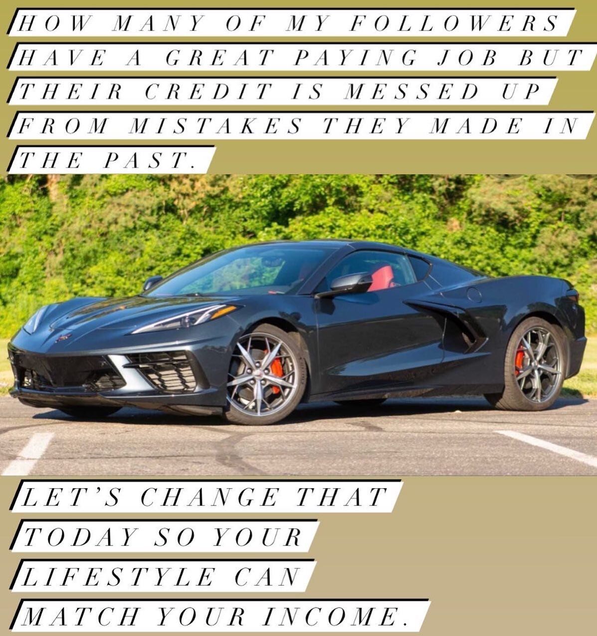 Sign up today, so we can groom your credit into shape .