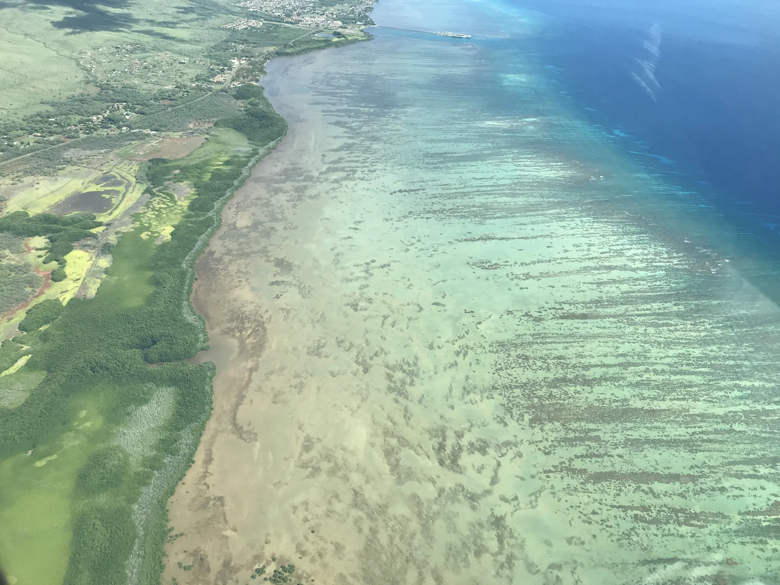 Copy of IMG_2484.JPG