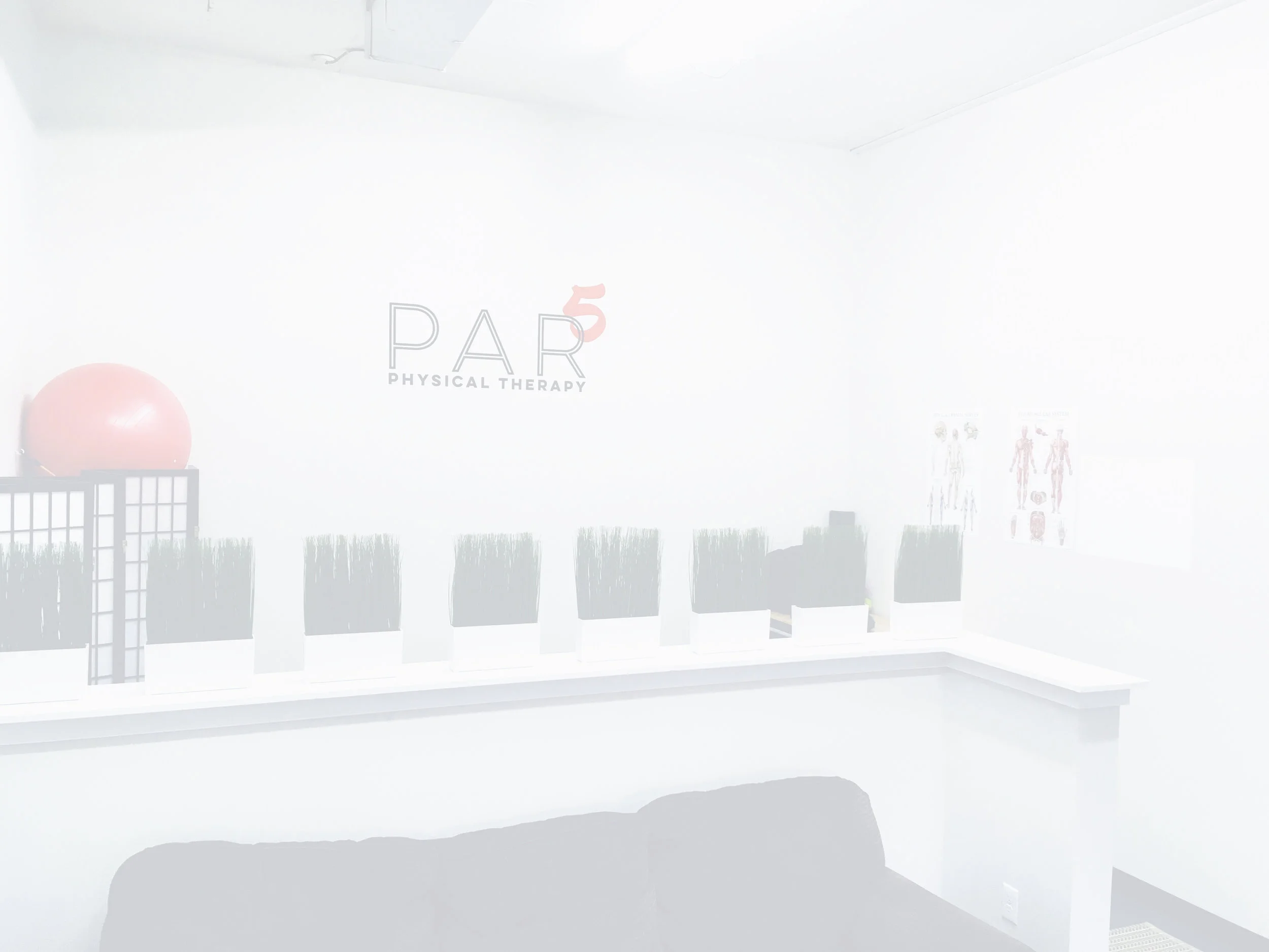 OverProject (3).jpeg