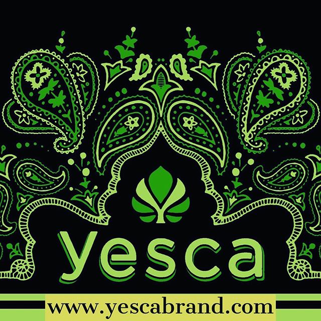 Monday morning wake up. &bull;
&bull;
&bull;
&bull;
&bull;
#yesca #yescabrand #yescaoil #ogyesca #losangelescannabis #losangeles #420 #710 #cannabis #hightimes #highsociety #weed #weedporn #weedstagram420 #hightimesmagazine #cannabis #cannabisculture