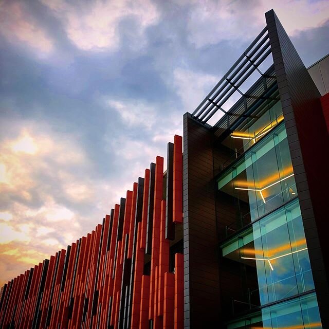 Redlands Senior Campus, Cremorne. Those vertical facade panels are made from terra-cotta!