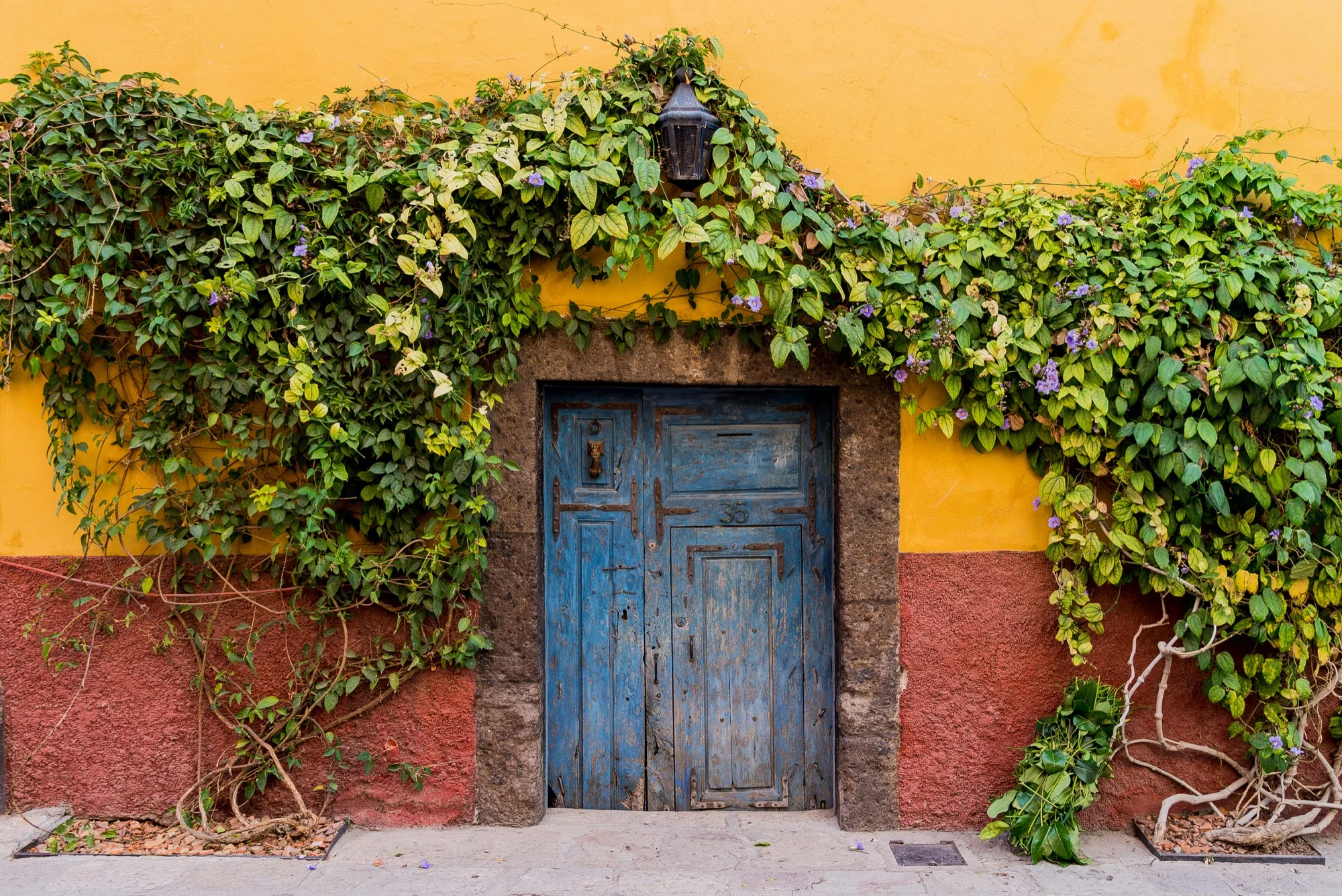 La Puerta #35