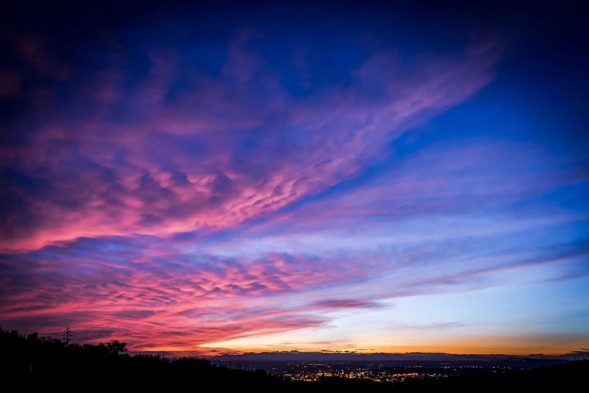 DSC_7966-Editar.jpg