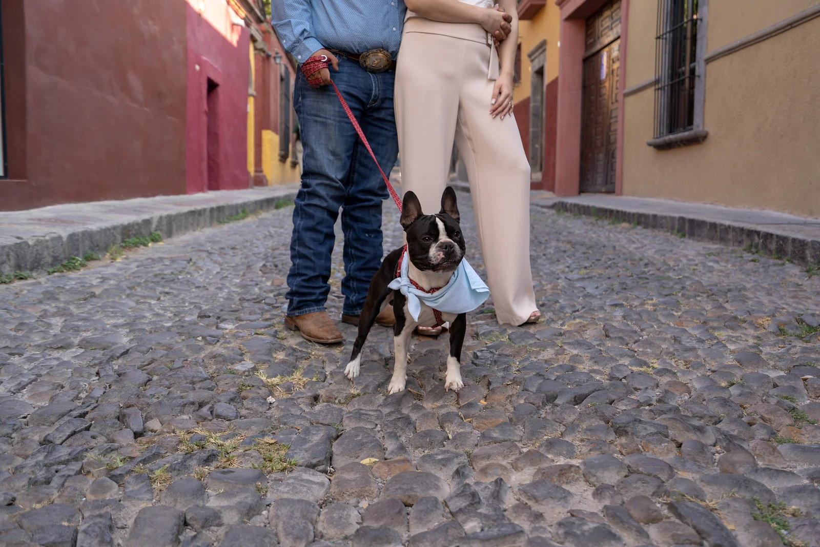 Home For Sale San Miguel de Allende Real Estate Casa del Arquitecto-8.jpg