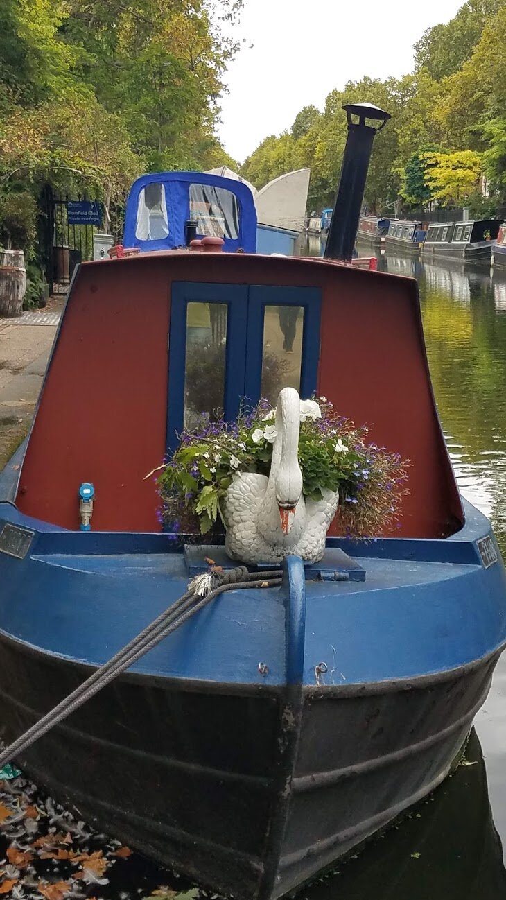swan on canal boat.jpg