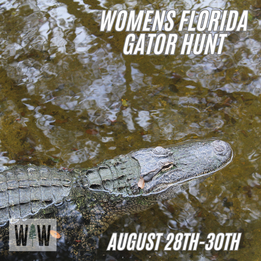 Florida Gator Hunt