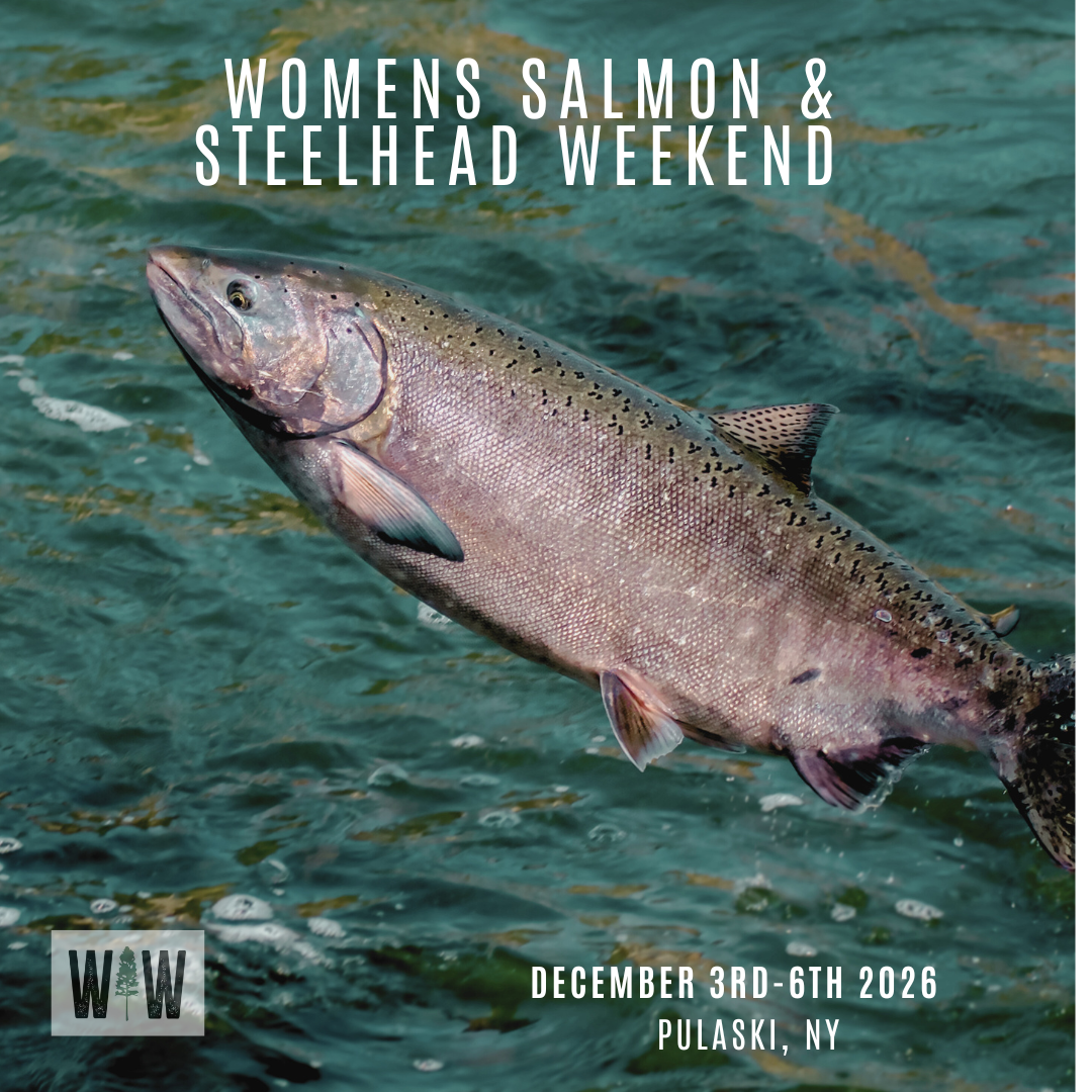 Salmon and Steelhead Fishing New York