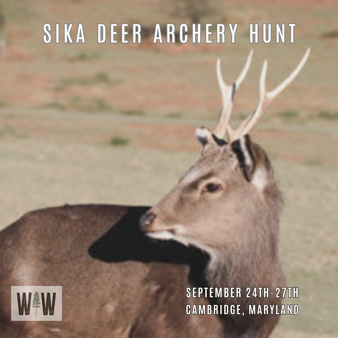 Women's Maryland Sika Deer Hunt
