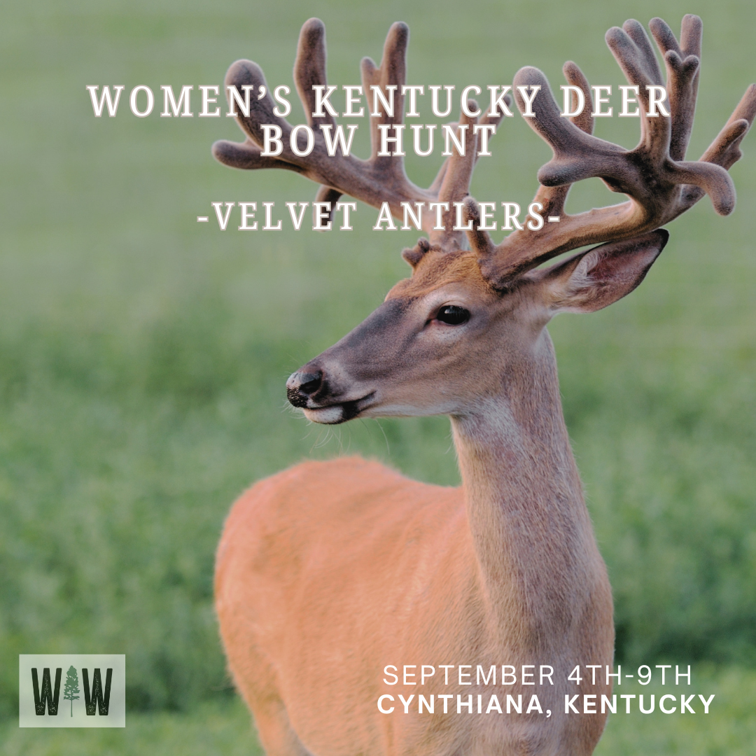 Kentucky Deer Bow Hunt-Velvet Bucks