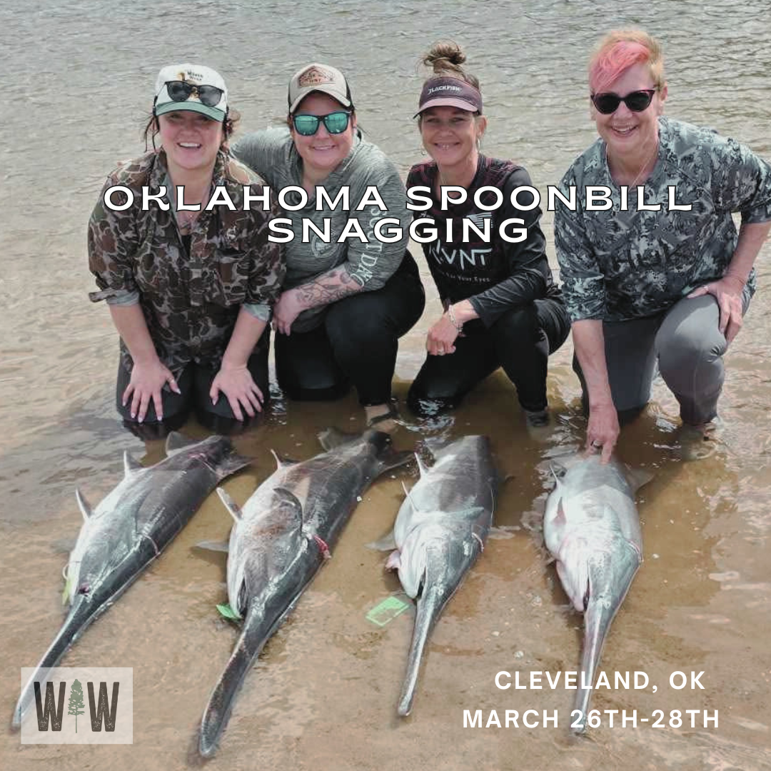 Spoonbill Snagging Oklahoma