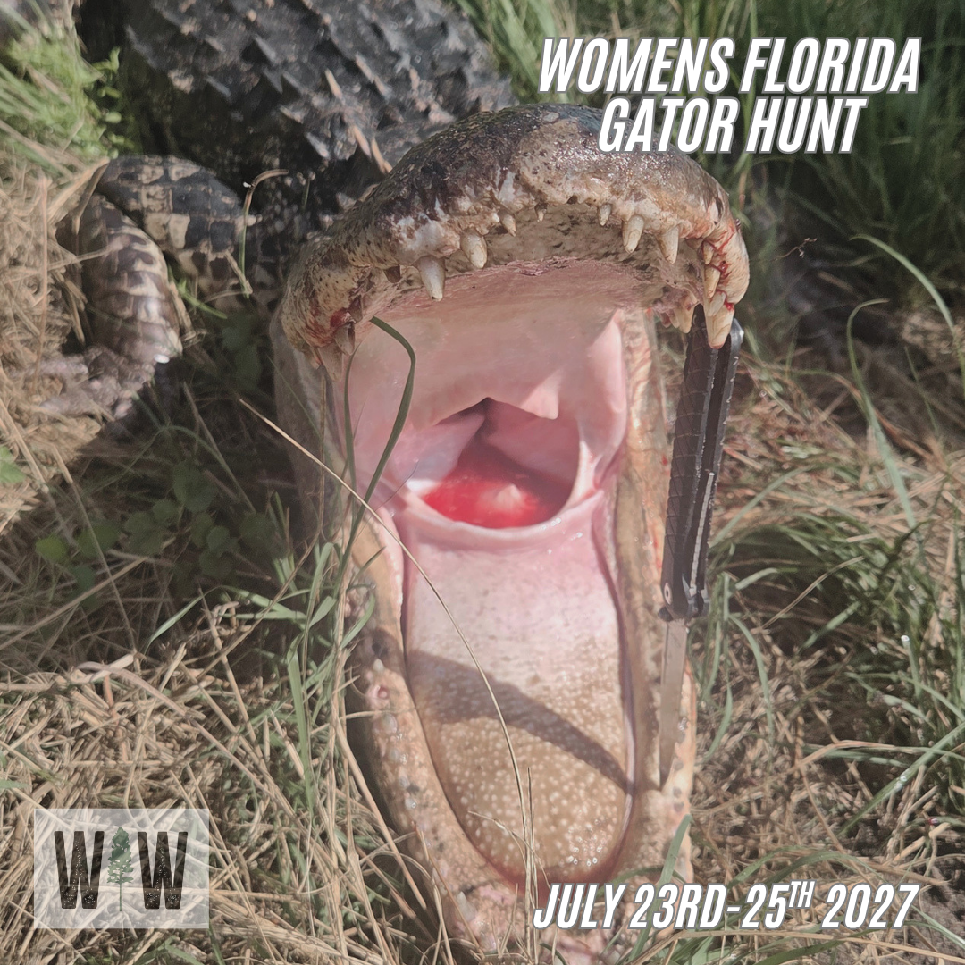 Florida Gator Hunt