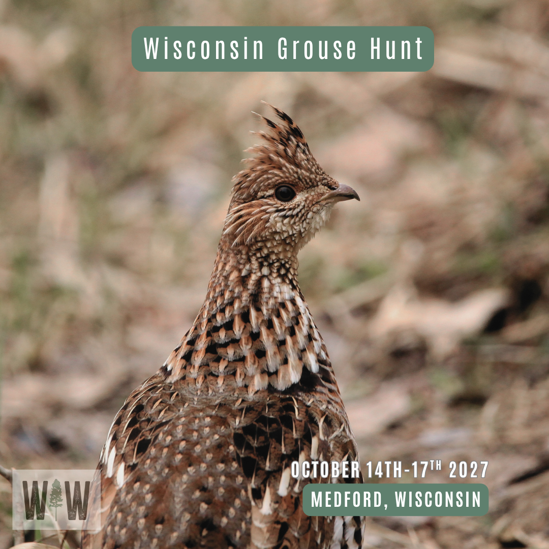 Wisconsin Grouse Hunt