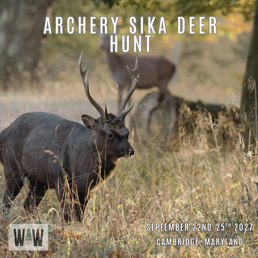 Women's Maryland Sika Deer Hunt 