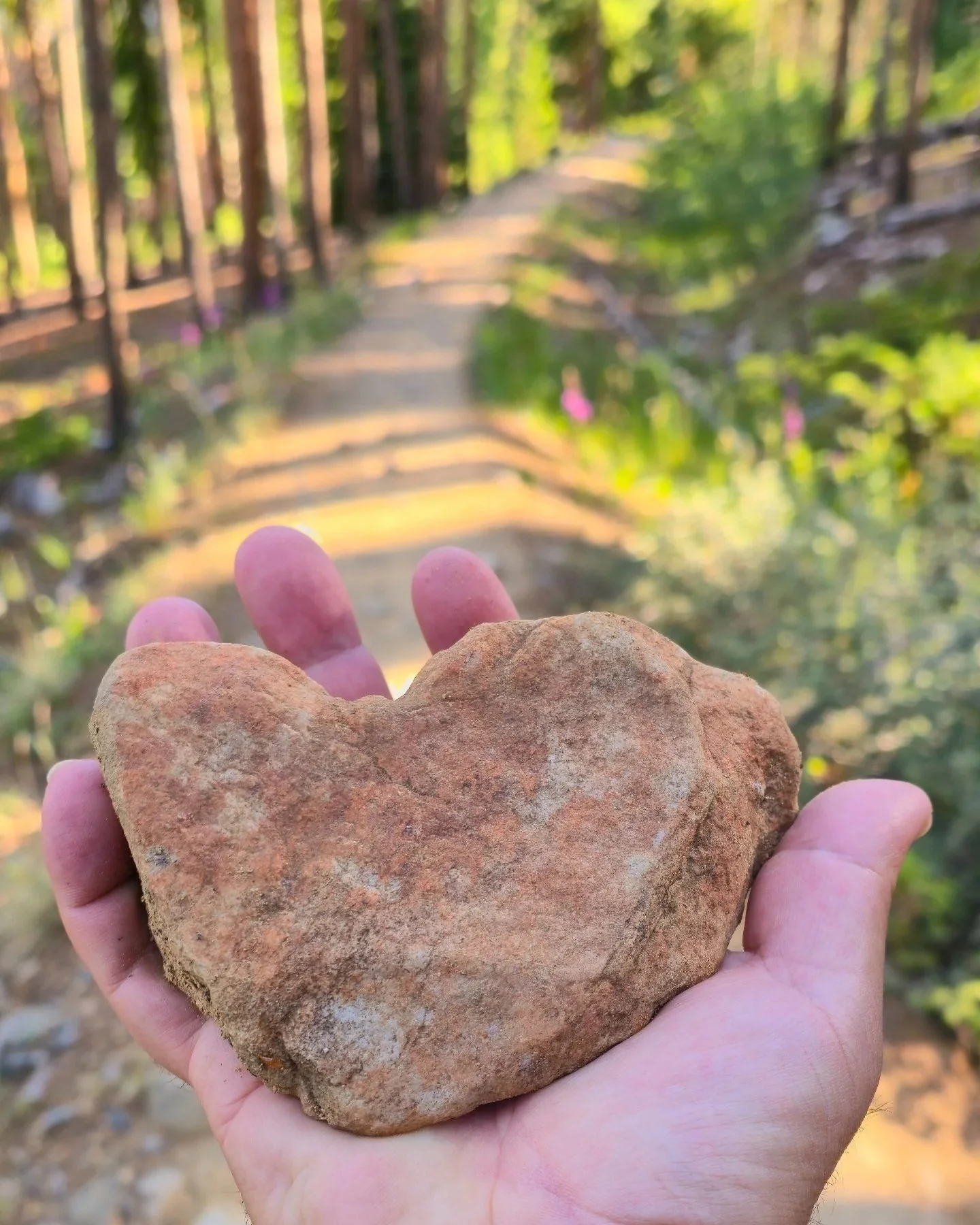 Fix your Hearts, or Die: Stuff like this is why I believe in the Rock N Roll of Synchronicity