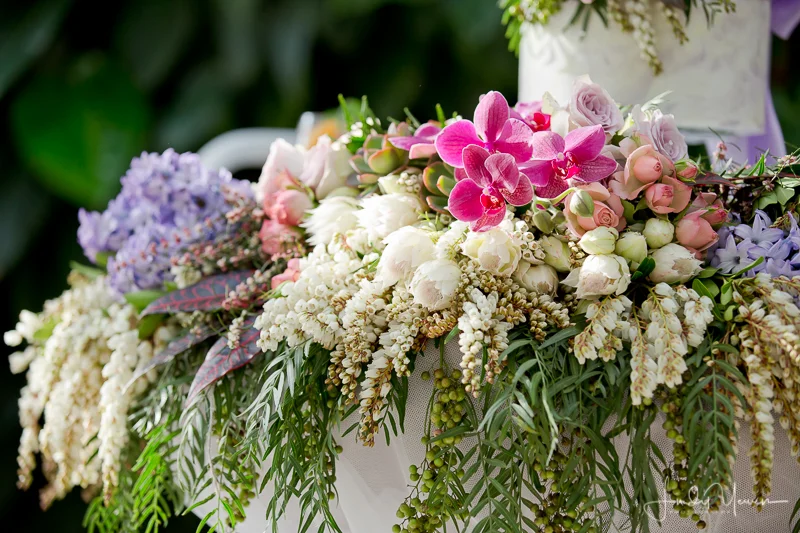 Lindy_Photography_Noosa_SOM-583.jpg